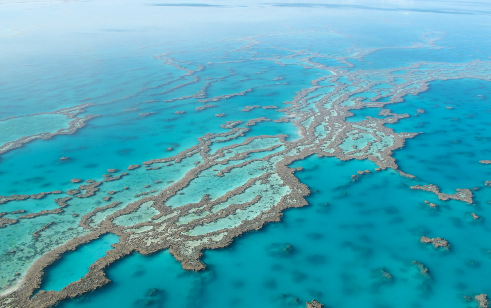 大堡礁，澳大利亚昆士兰 (© AWL Images/Danita Delimont) | 必应每日高清壁纸 - 精彩,从这里开始